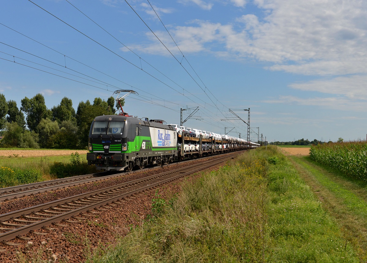 193 832 mit einem Autozug am 10.08.2014 bei Plattling.