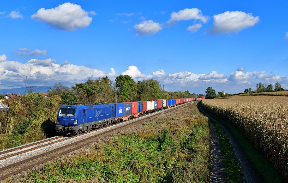 193 845 mit einem Containerzug am 16.10.2021 bei Langenisarhofen.