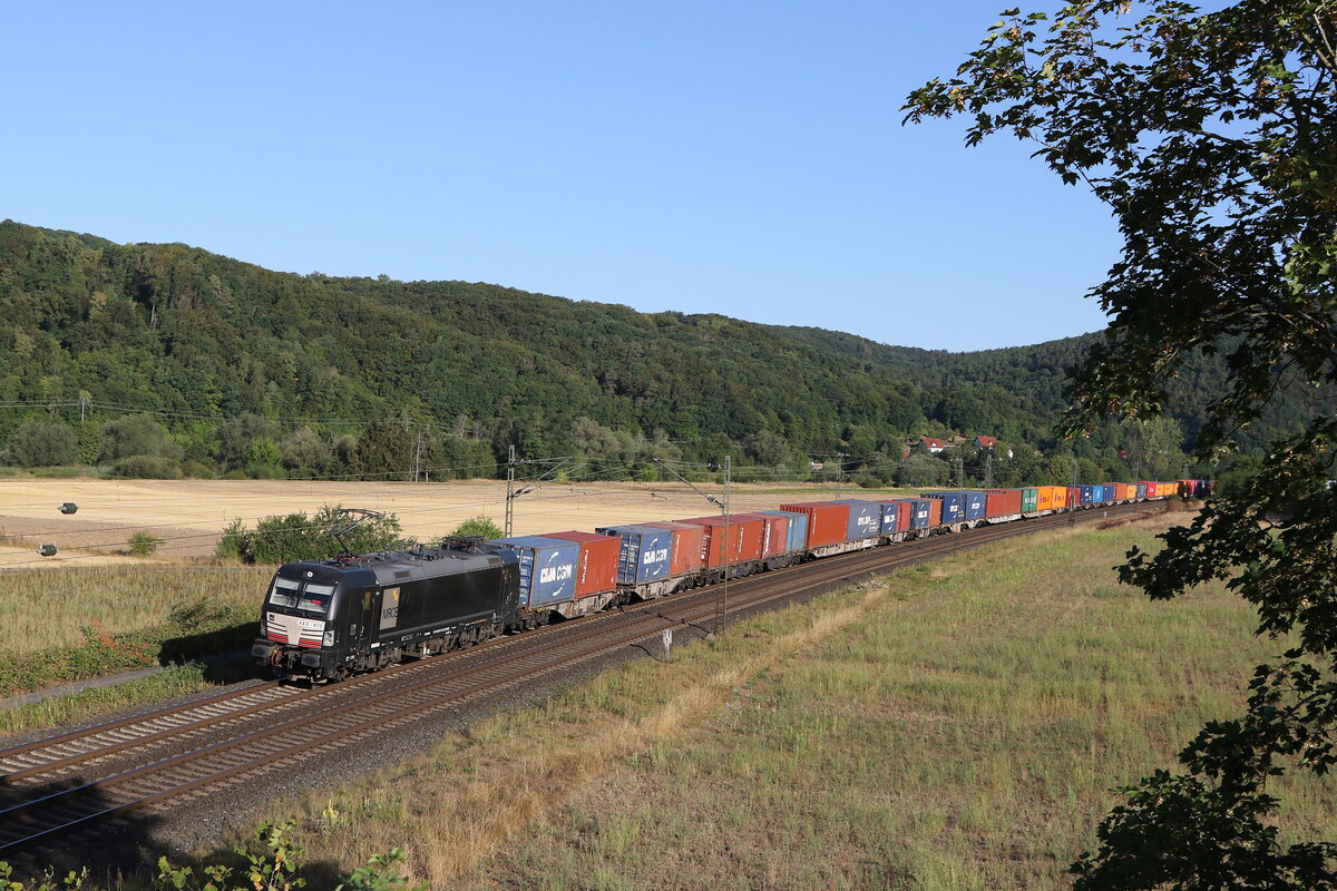 193 873 mit einem Containerzug aus Gemünden kommend am 6. August 2022 bei Harrbach.