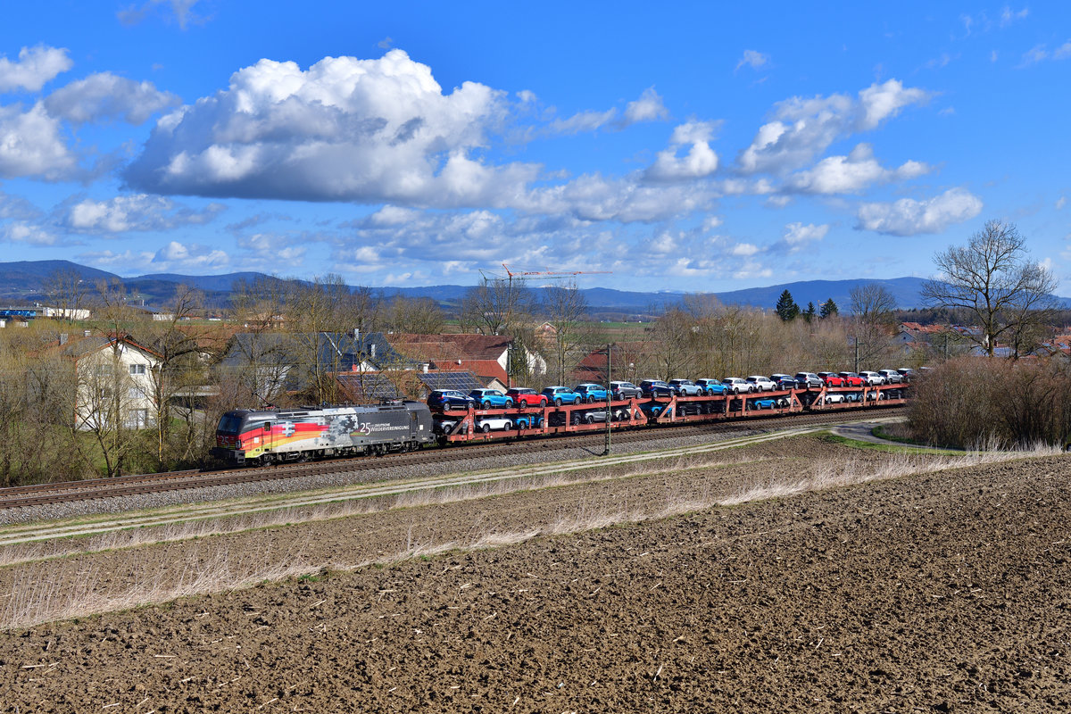 193 876 mit DGS 47102 am 13.03.2020 bei Langenisarhofen.