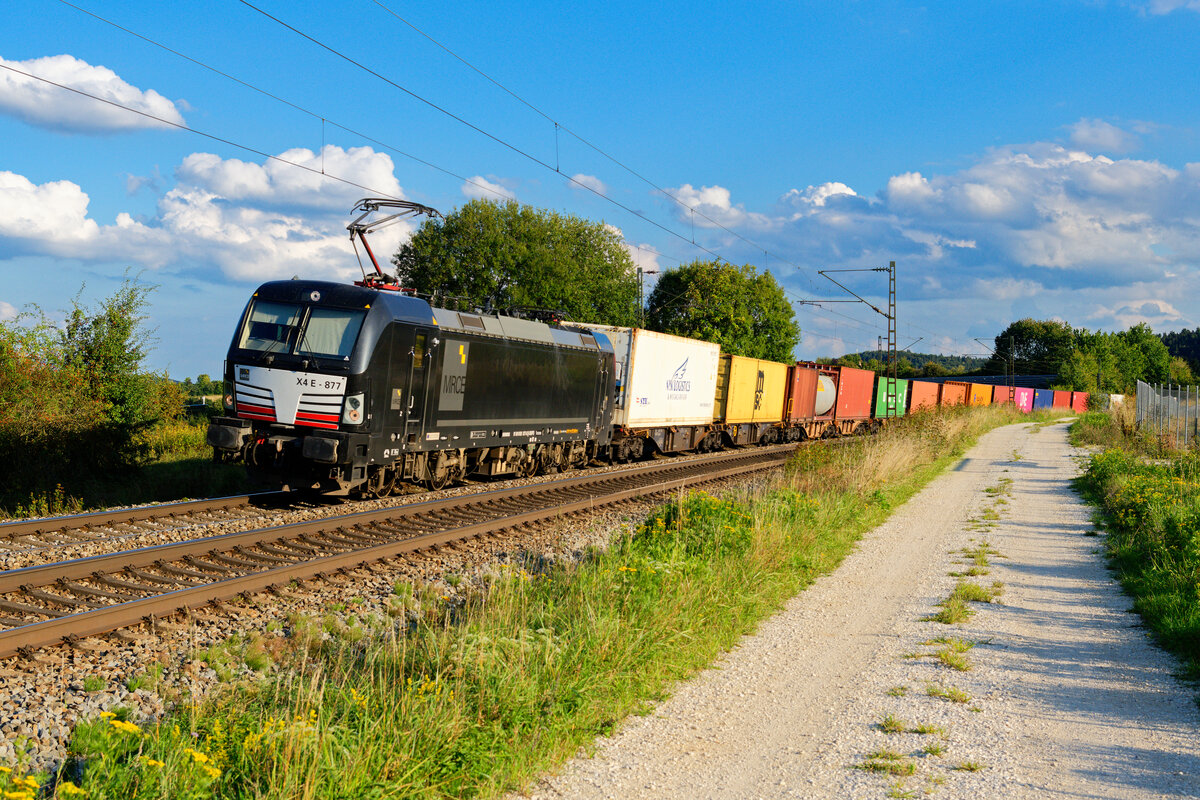 193 877 MRCE/WLC mit einem Containerzug bei Parsberg Richtung Nürnberg, 07.09.2020 