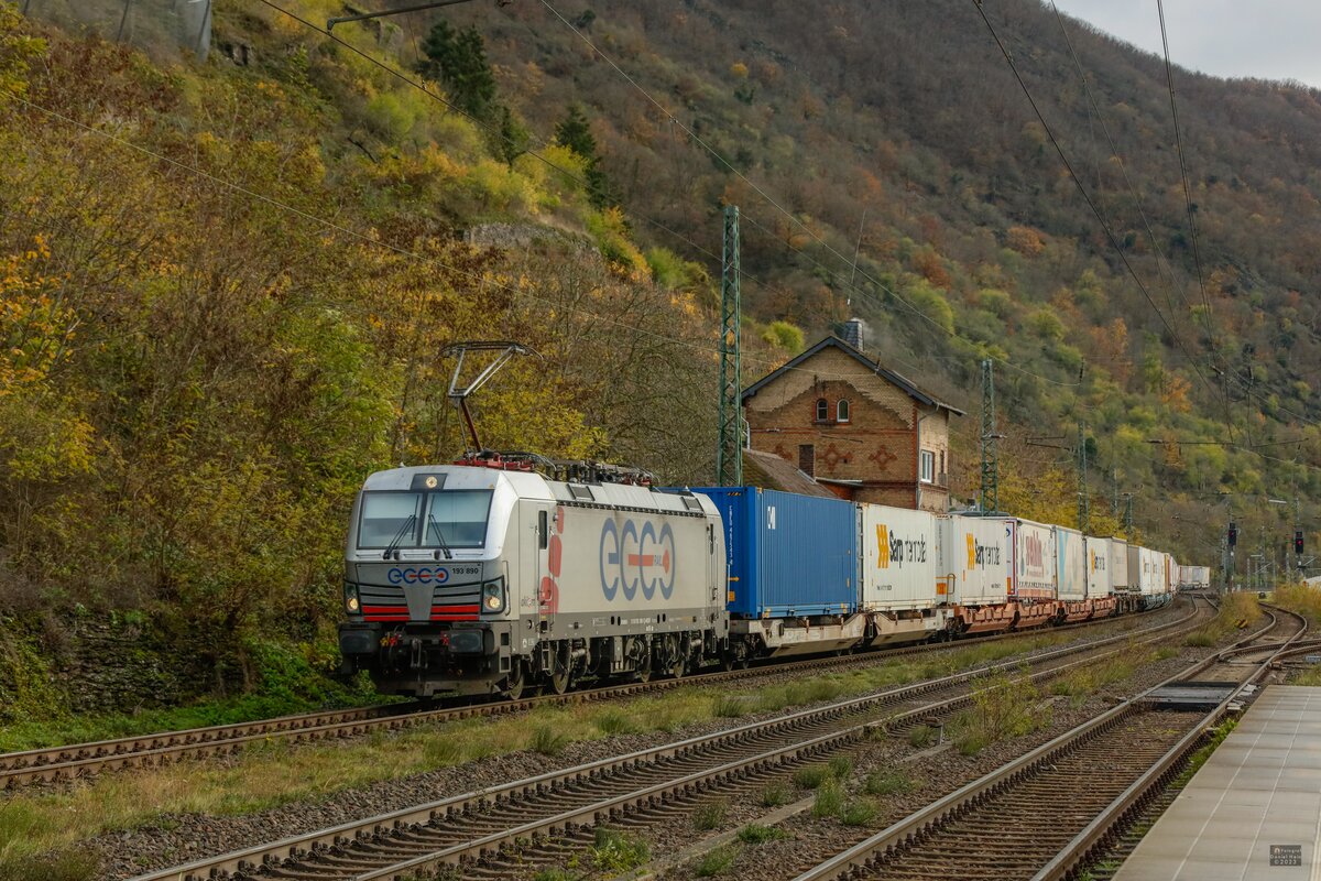 193 890 ecco rail mit KLV in Kaub am Rhein, November 2023.