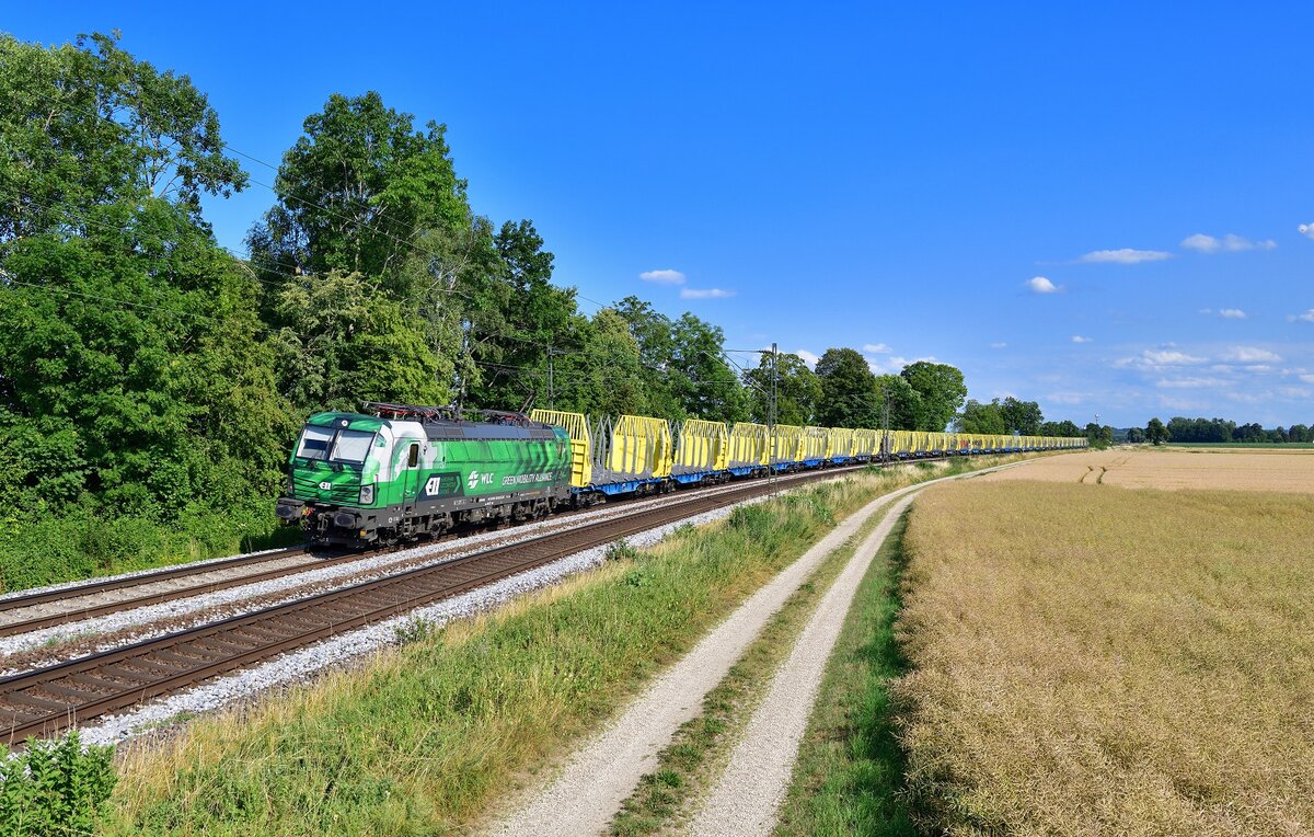 193 943 mit einem leeren Holzzug am 06.07.2023 bei Langenisarhofen. 