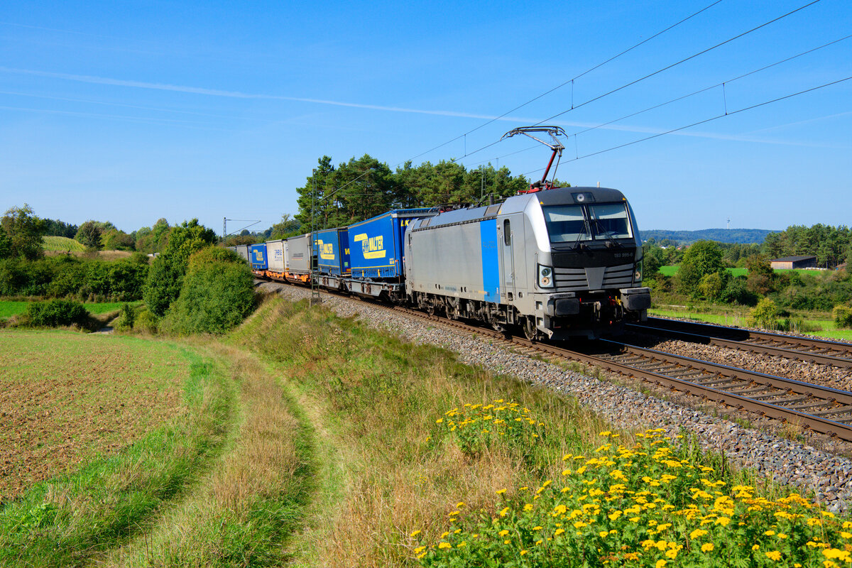 193 995 Railpool/TXL mit einem LKW-Walter KLV-Zug bei Parsberg Richtung Regensburg, 14.09.2020