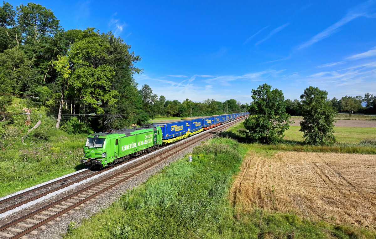 193 996 mit einem KLV am 26.07.2024 bei Schwarzwöhr.