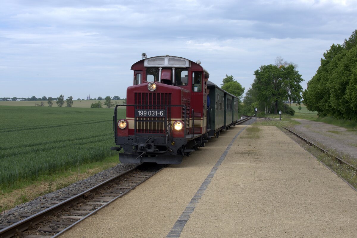 199 031-6 mit dem Mittagspersonenzug  aus Oschatz kommend im Haltepunkt Naundorf bei 
Oschatz. Täglicher Dieselschülerverkehr, aber es gibt auch Dampfwochenende. 04.06.2021 14:45 Uhr.