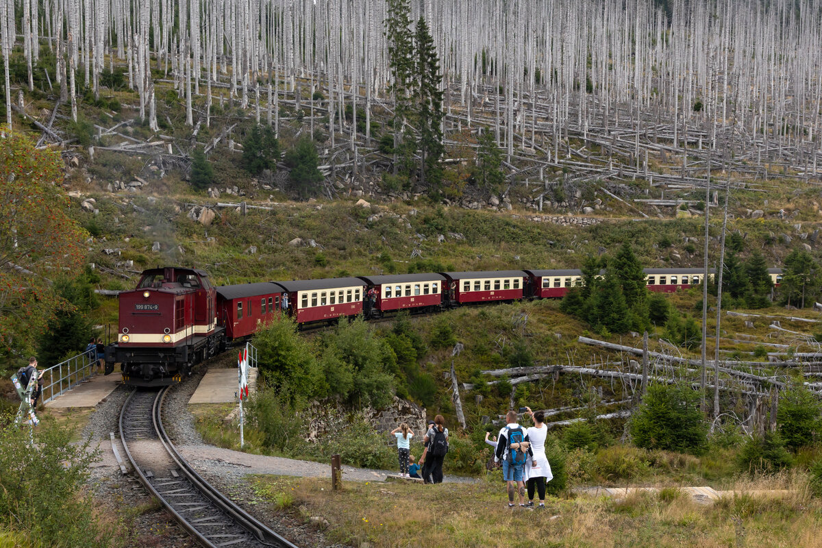199 874-9 in der Eckerloch Kurve gen Brocken. 6.9.25