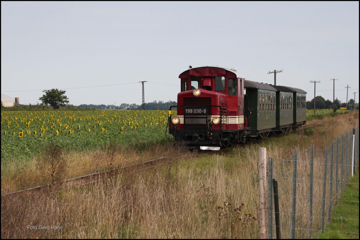 199031 war am 22.09.2015 mit dem Zug DBG 102 von Oschatz nach Mügeln unterwegs. Hier befindet sich die Garnitur kurz vor der Ortschaft Schwela.