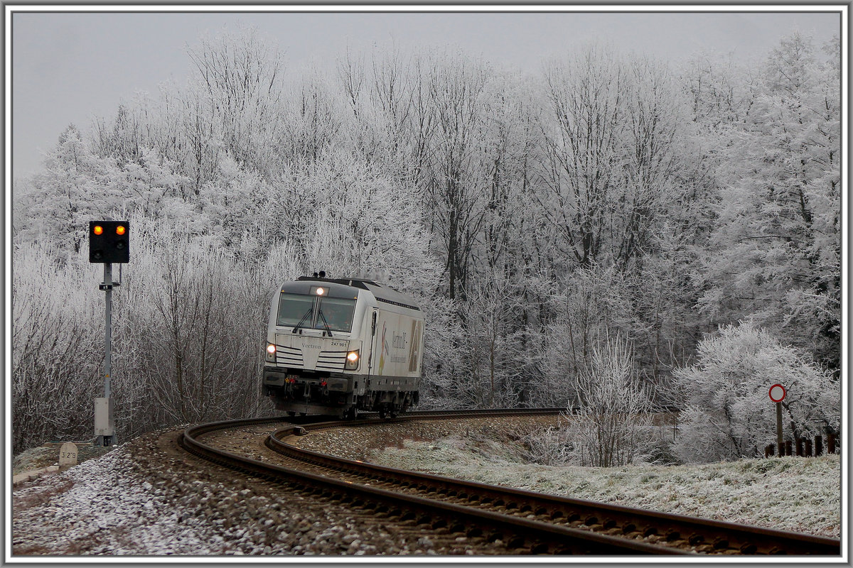 19.Dezember2013 
Vectron DE alias 247.901 rollt von seiner damals wohl größten Belastungsprobe von der Anschlussbahn Leibenfeld in Richtung Deutschlandsberg. 

Schönen 1ten Adventsonntag ! 