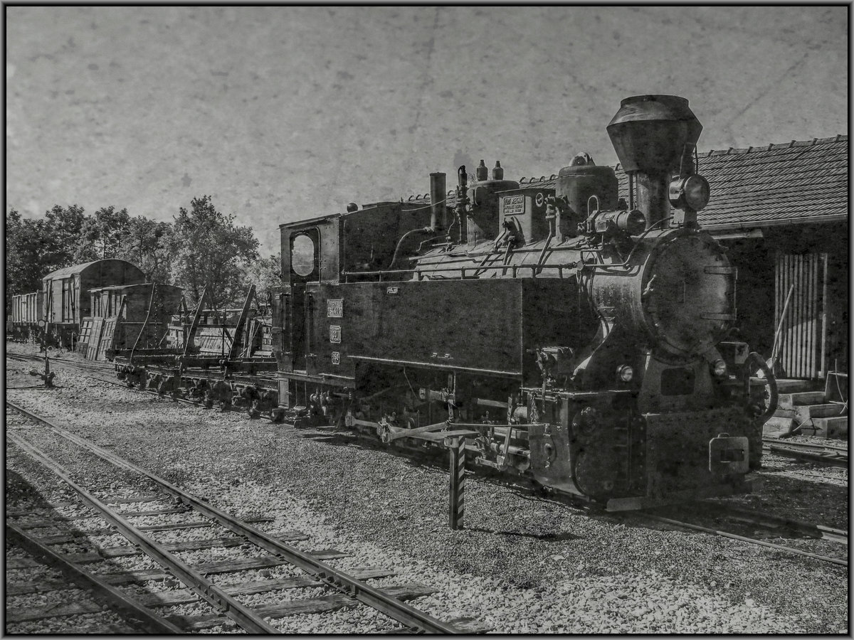 19.enter Mai 2012 . 
Die Stainzer Lokalbahn begeht ihr 120ig Jähriges Jubiläum . 
Dazu gibt es im Bahnhof eine Fahrzeugschau. 
Darunter 764.411 R mit einem Stilechten Holz-zug. 