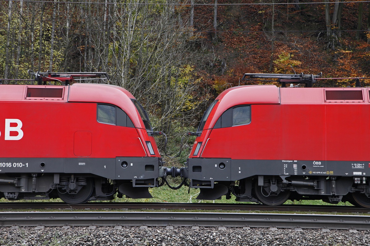 2 x Taurus ,Kopf an Kopf in Werfen am 9.11.2017.