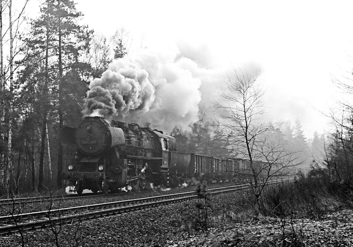 20. Februar 1982, ein Güterzug mit Lok 52 8128 kommt die Steigung bei Dresden-Klotzsche herauf.