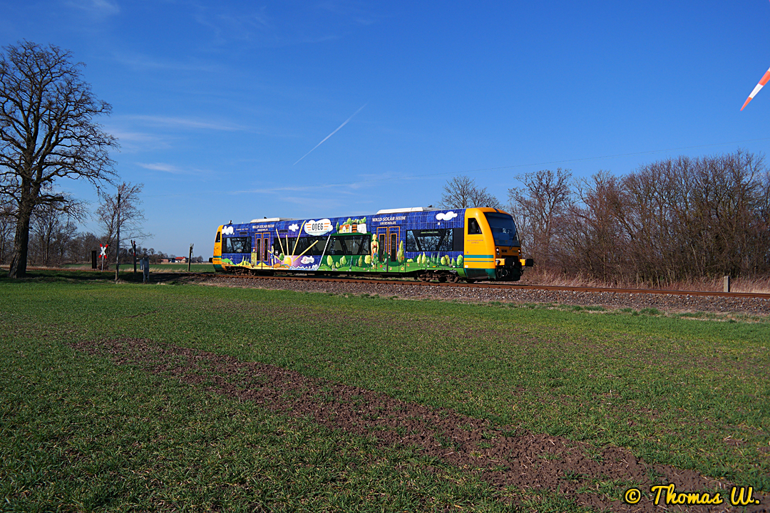20. März 2014 - Werbe ODEG VT 650.65 auf der Linie RB60 bei Letschin.