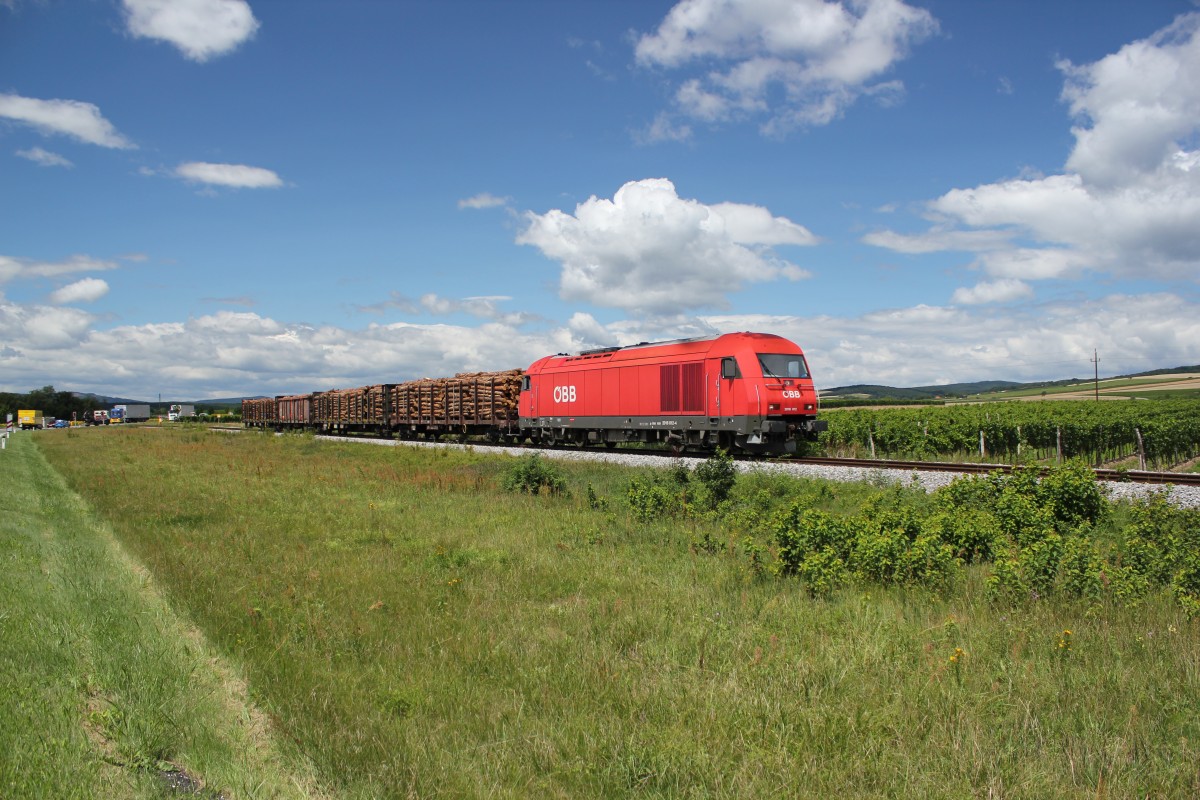 2016 012 zieht einen Güterzug hier kurz vor Horitschon Richtung ungarische Grenze, rechts hat man einen Blick auf das Ödenburger Gebirge das wie man im Vordergrund sieht auch zum Weinanbau genutzt wird, August 2012