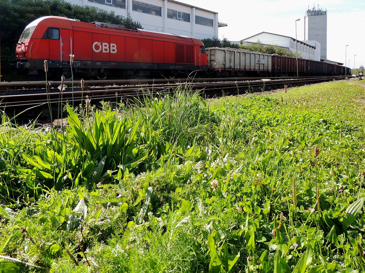 2016 063-7 mit Rübenzug-75829 bei Ried i.I.; 170929