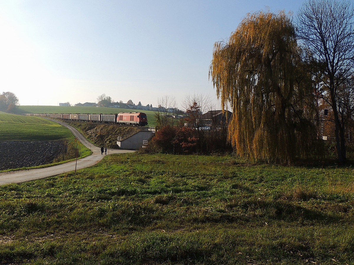 2016 077-8, mit Rübenzug 75829, auf der Innkreisbahn Richtung Neumarkt/Kallham unterwegs; 141114