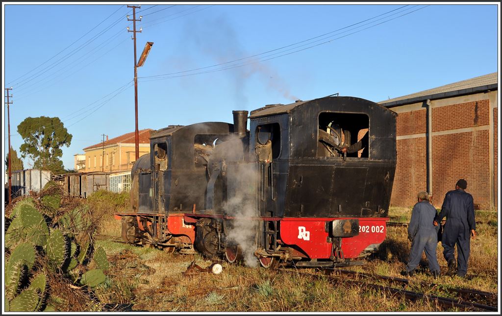 202 002 und 202 008 beim Verschub in Asmara. (03.12.2014)