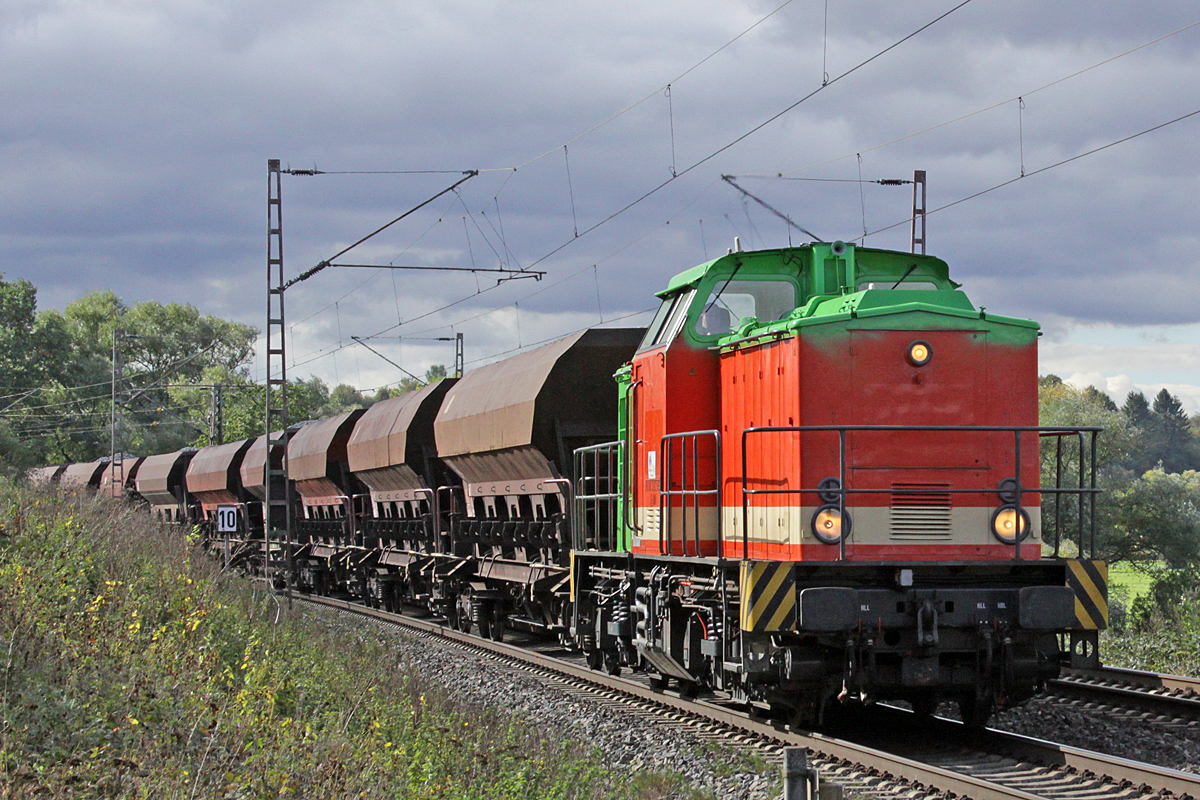 202 655-7 die Neue bei der Ilmebahn wechselt gerade die Farbe, nördlich von Salzderhelden am BÜ 75,1 auf der Fahrt von Göttingen nach Alfeld
