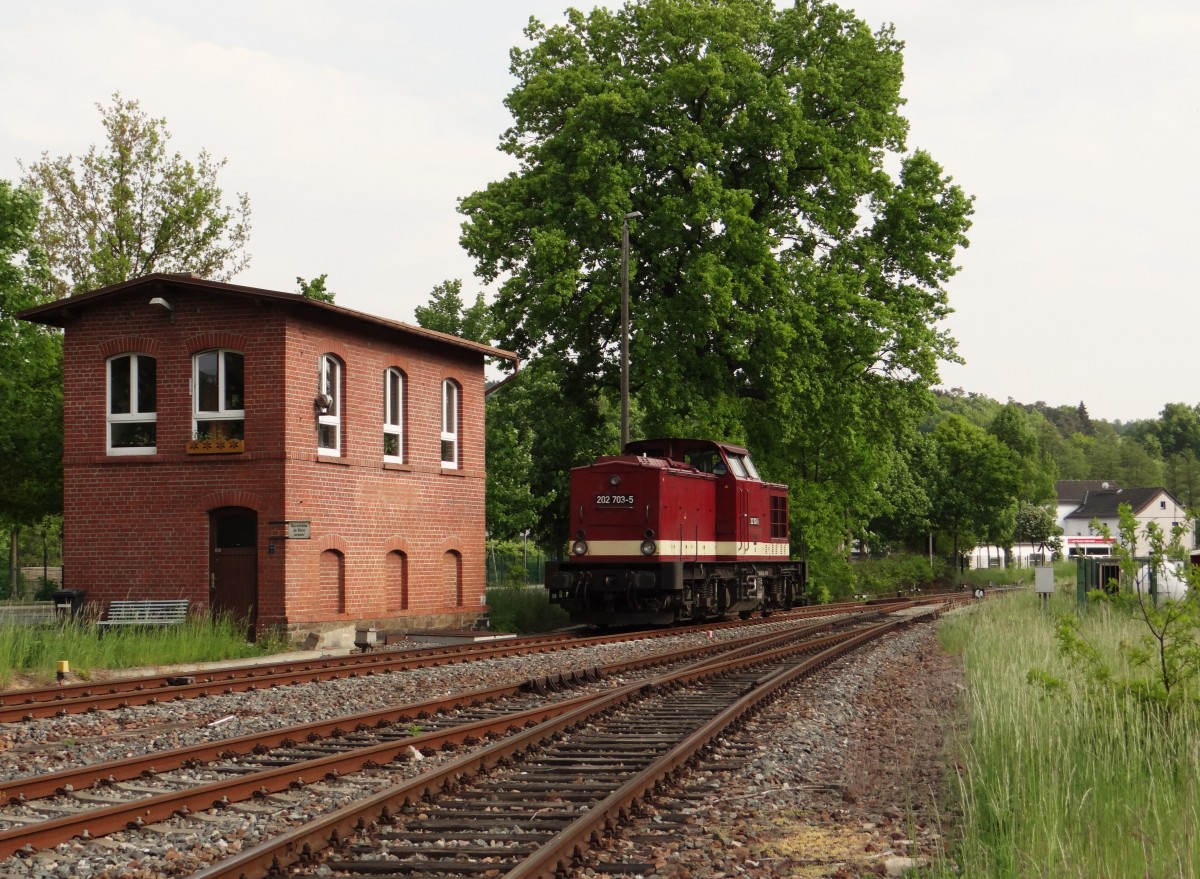 202 703-5 zu sehen am 21.05.15 in Weischlitz/V.