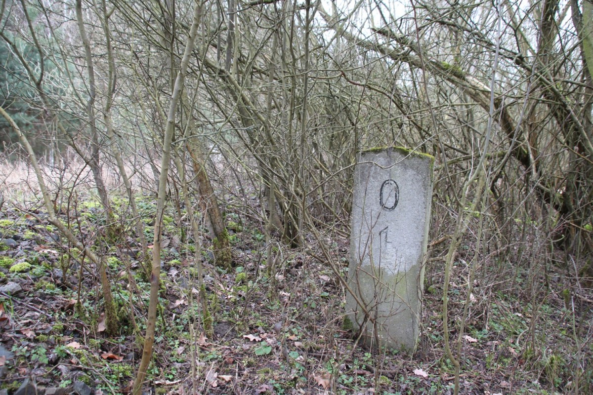 20.2.2016 Bad Belzig, Brandenburgische Städtebahn. Beginn kurzen Direktverbindung nach Preußnitz (Belzig umgehend)
