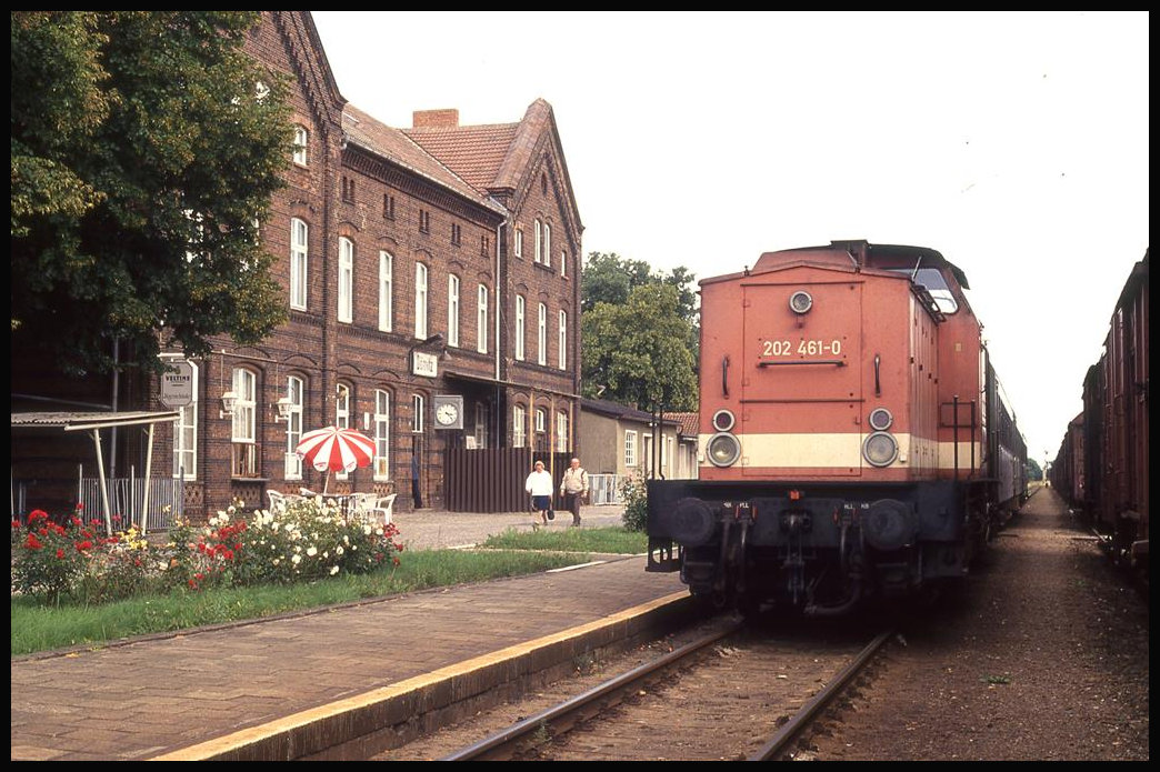 202461 mit P 14209 aus Ludwigslust steht hier am 29.8.1993 am Hausbahnsteig im Bahnhof Dömitz.