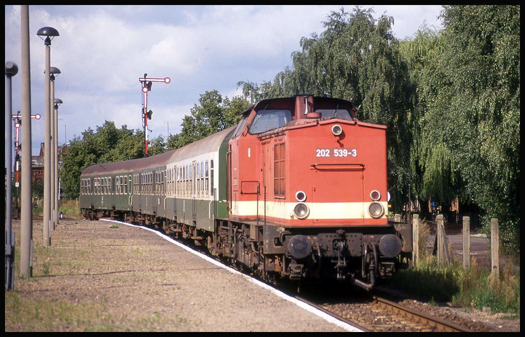 202539 stellt hier am 29.8.1993 um 11.31 Uhr im Bahnhof Salzwedel einen Personenzug bereit.