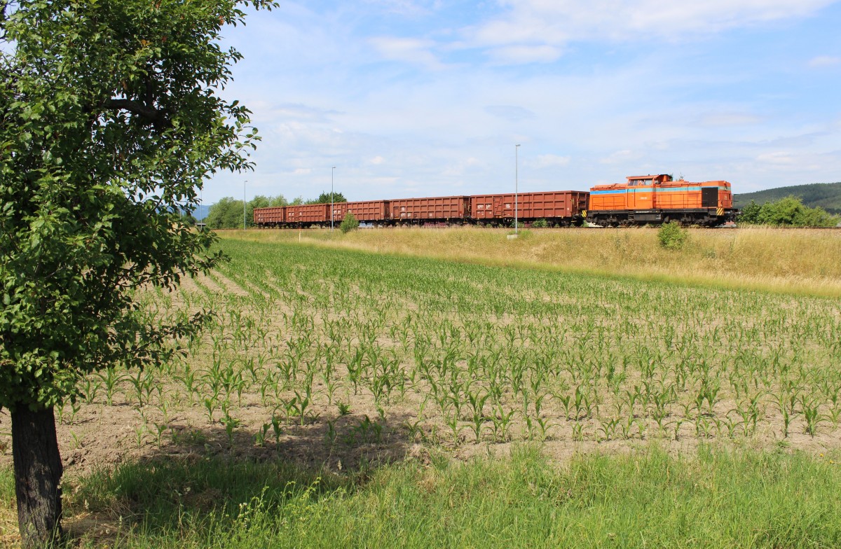 203-29 der SWT am 29.06.15 in Vogelschutz.