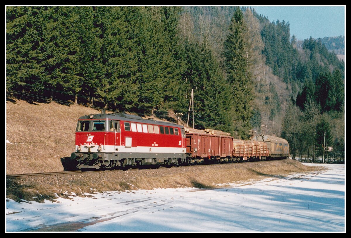 2043 058 fährt am 27.03.2003 mit G55563 durch den Twimmberger Graben.