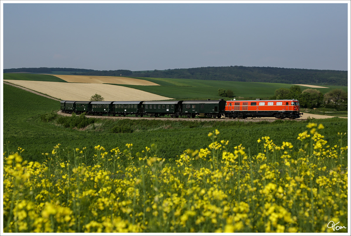 2050.09 fährt mit dem Nostalgie Express Leiser Berge von Ernstbrunn nach Korneuburg. 
Hetzmannsdorf 1.5.2014