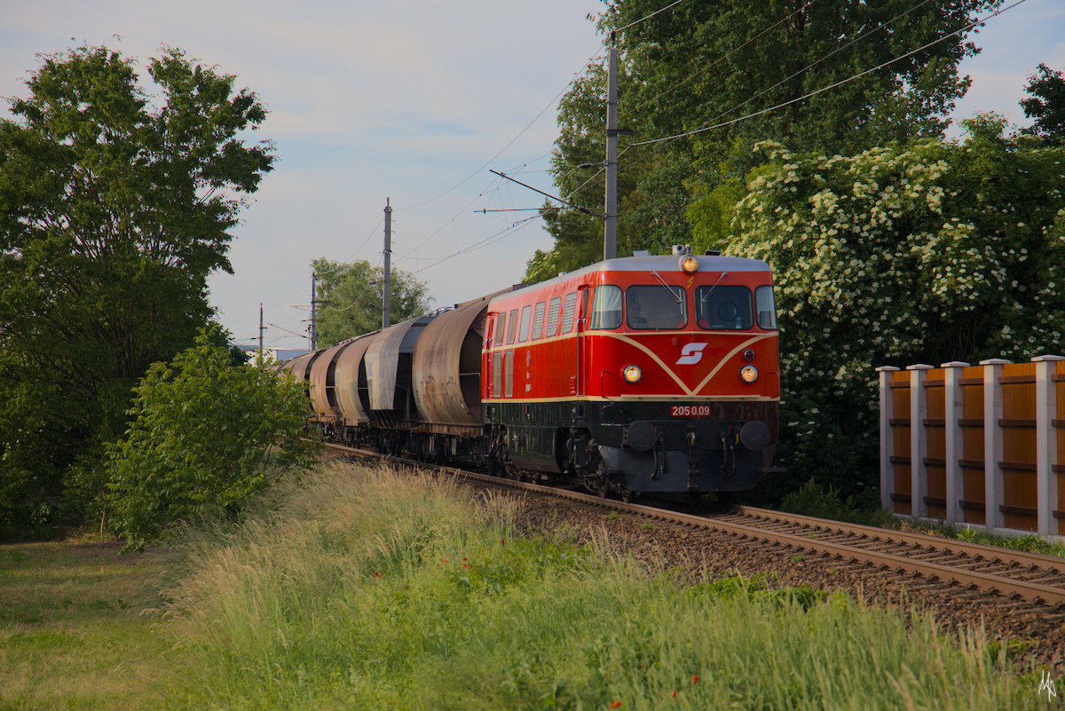 2050.09 mit ihrem Ganzzug aus geladenen Getreidewagen kurz vor der Haltestelle Höbersdorf. (15.06.2021)