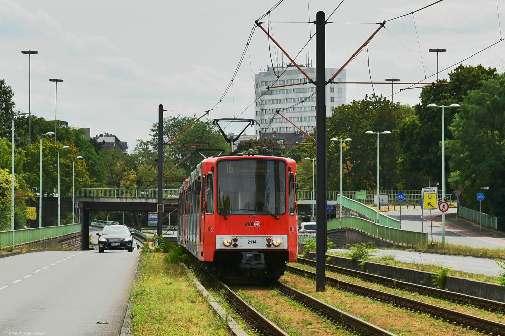 2114 und 2115 als Linie 16 auf der Amsterdamer Straße am 06.08.2019.