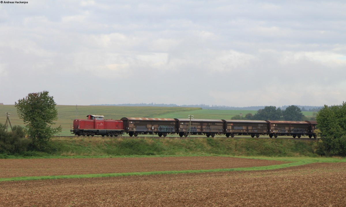 212 133-3 mit einem Fotozug bei Leusel 20.9.15