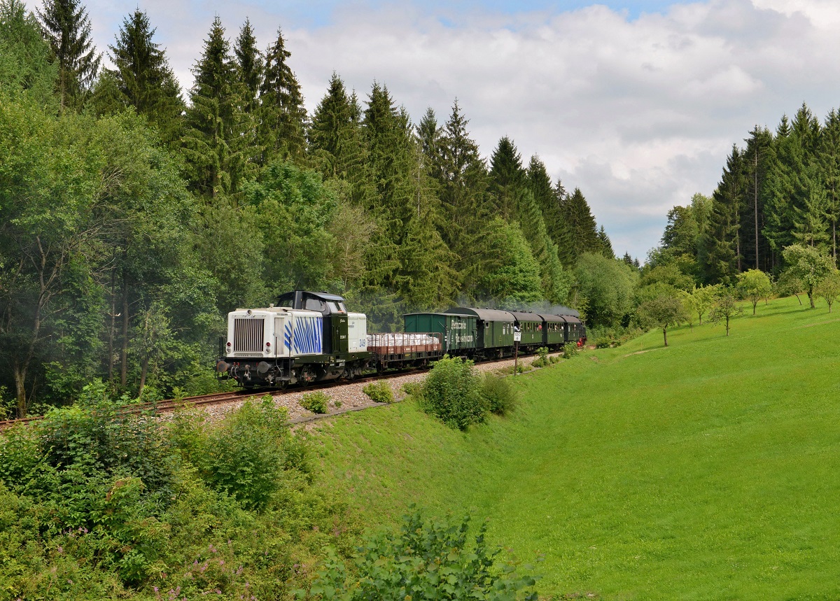 212 249 mit einem Sonderzug am 01.08.2014 bei Auerbach.