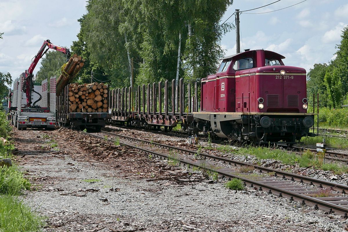 212 371-9 der UTL stellt den zuvor vom Ladegleis geschobenen ersten entladenen Holzzug auf dem Streckengleis zur Abholung bereit. Altshausen, 26.07.2021.