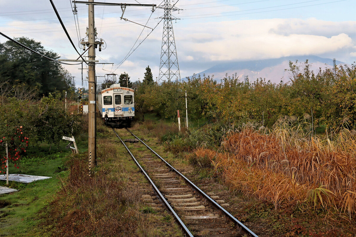 Ôwani-Linie, eine kleine Bahn vor dem Ende: Zwischenstationen. Zug 7031-7032 in Matsukitai, mit Blick auf den mächtigen Vulkan Iwakisan. Links leuchten rot die reifen Aepfel in den ausgedehnten Apfelbaumplantagen. 11.November 2024 