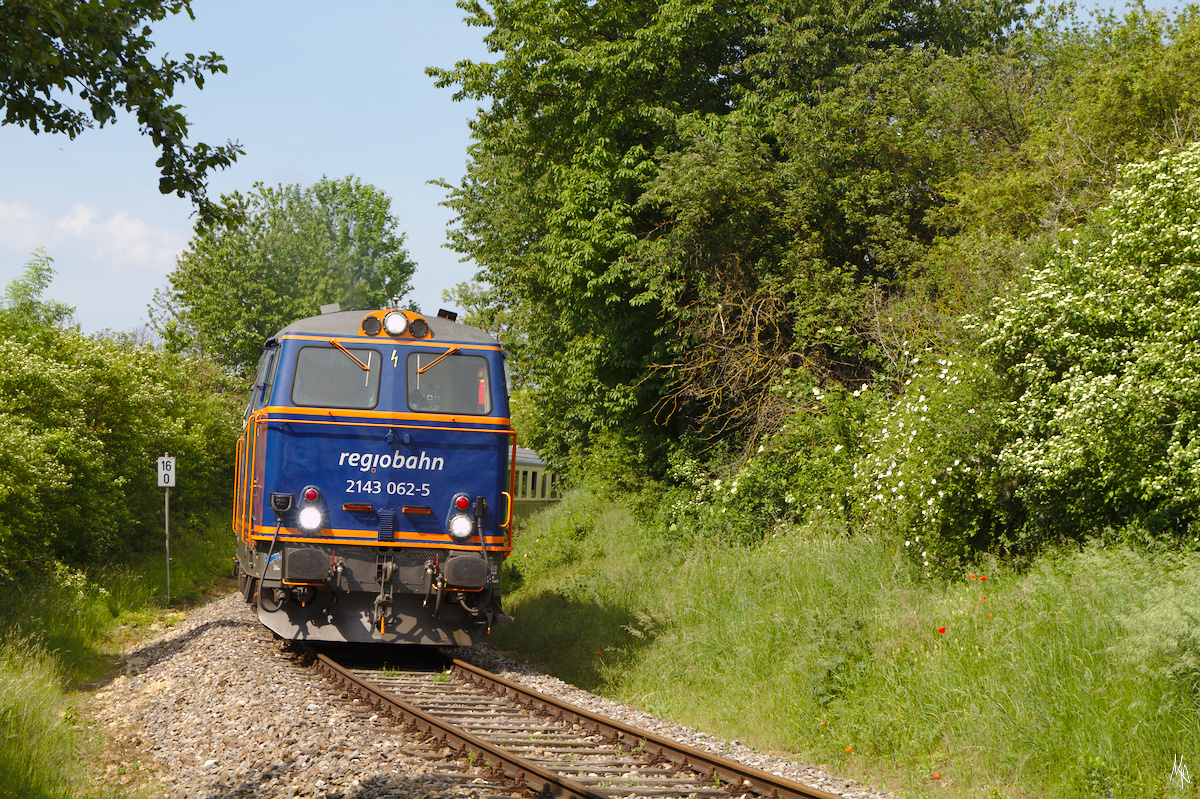 2143 062 alias Blaue Elise ist am 1. Juni 2019 mit Nex nach Ernstbrunn unterwegs. Entstanden ist die Aufnahme in einem der großen Gleisbögen kurz nach Hetzmannsdorf.