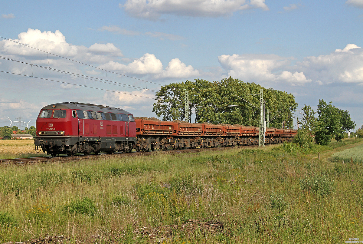 215 025 EfW bei Brühl am 07.06.2020