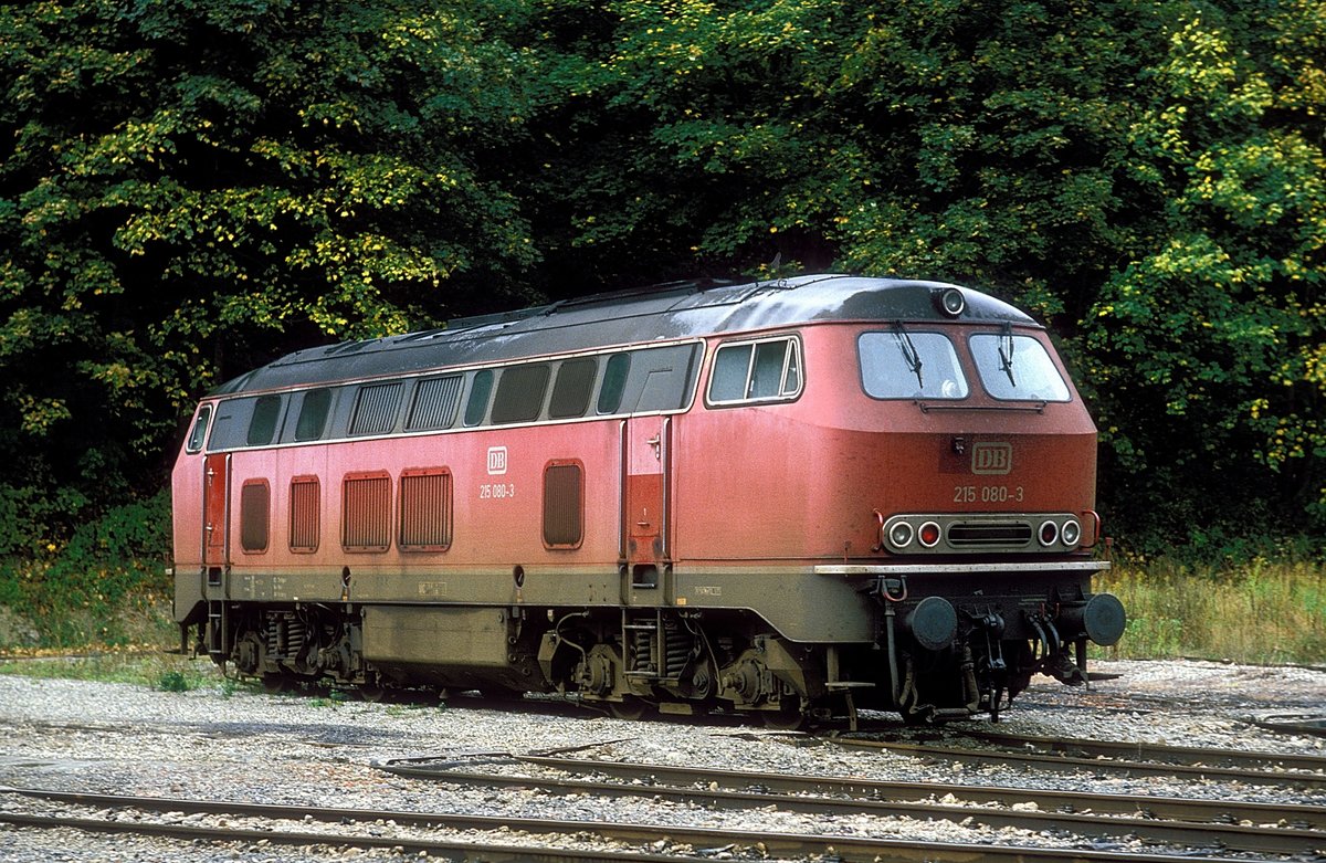 215 080  Horb  09.10.89 