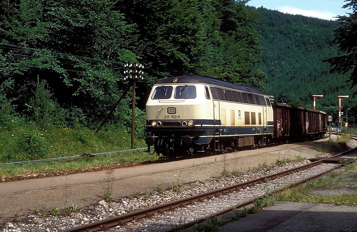 215 100  Fridingen  18.07.89 