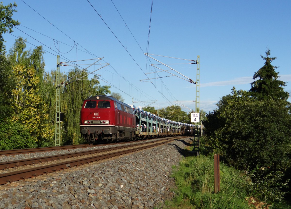 216 224-6 der IGE zu sehen am 17.09.15 in Plauen/V.