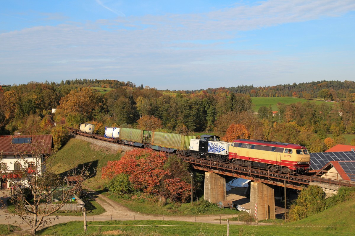 217 002 und 212 249 am 20.10.2013 bei Salling.