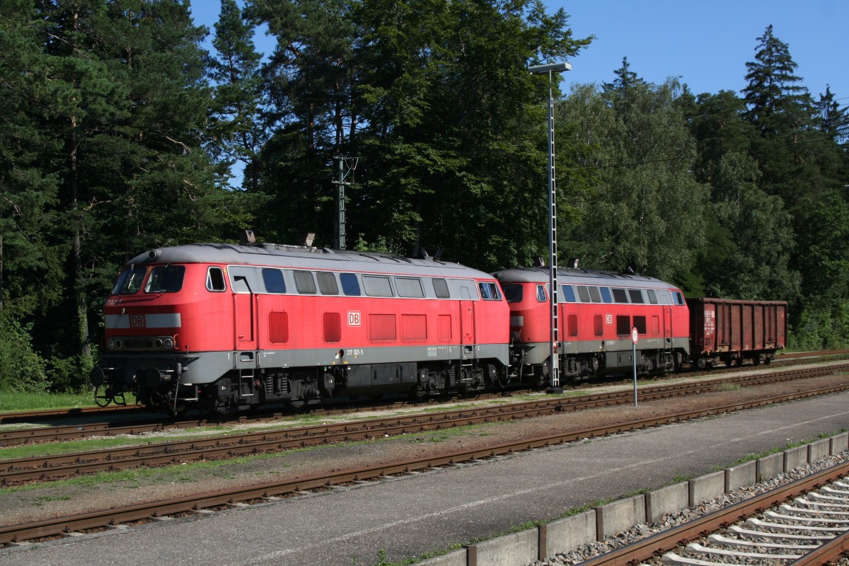 217 021-5 + 217 015-7 Kastl 19.08.2008