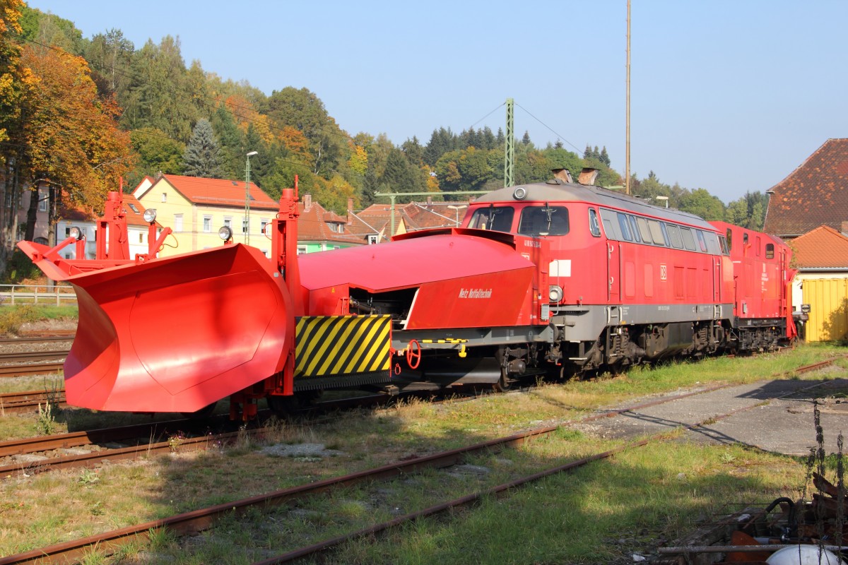 218 272-3 DB mit BA 850 (Beilhack) und BA 855 (Meiningen) in Kronach am 08.10.2013.