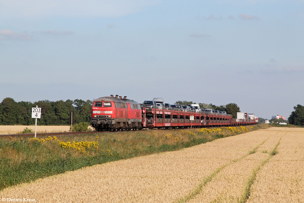 218 319 + 218 389 mit einem SyltShuttle am 21.07.2014 bei Lehnshallig.