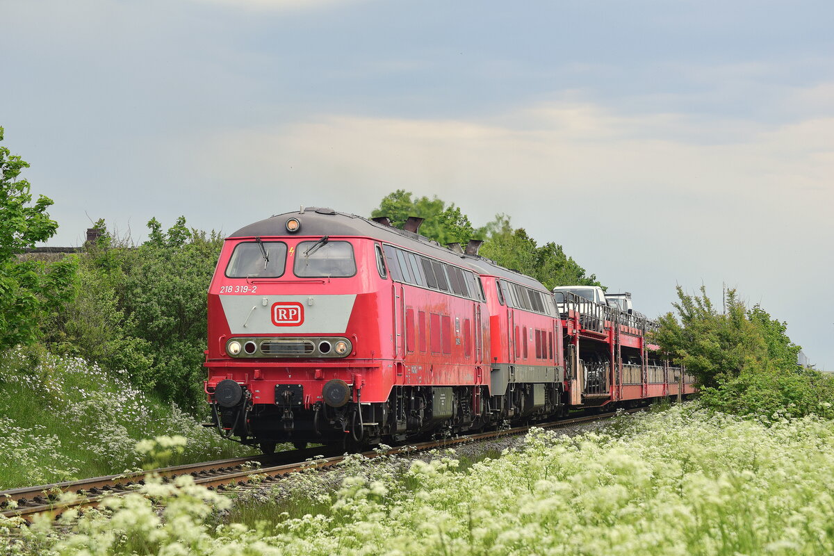 218 319-2 zieht mit 218 390-3 ihren AUtozug durch Keitum nach Westerland.

Keitum 03.06.2021