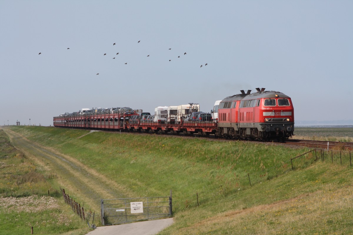 218 366 in Klanxbll (Friedrich-Wilhelm-Lbke-Koog) am 19.08.12.