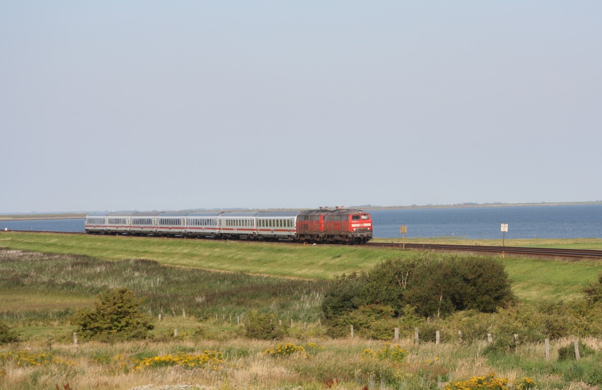 218 381 auf dem Hindenburgdamm bei Morsum am 19.08.12.