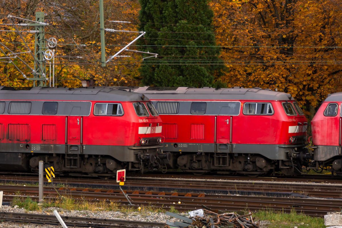 218 401-8 mit 452. Ein Treffen der besonderen Art ist bald nicht mehr zu sehen in Lindau. 30.10.20
