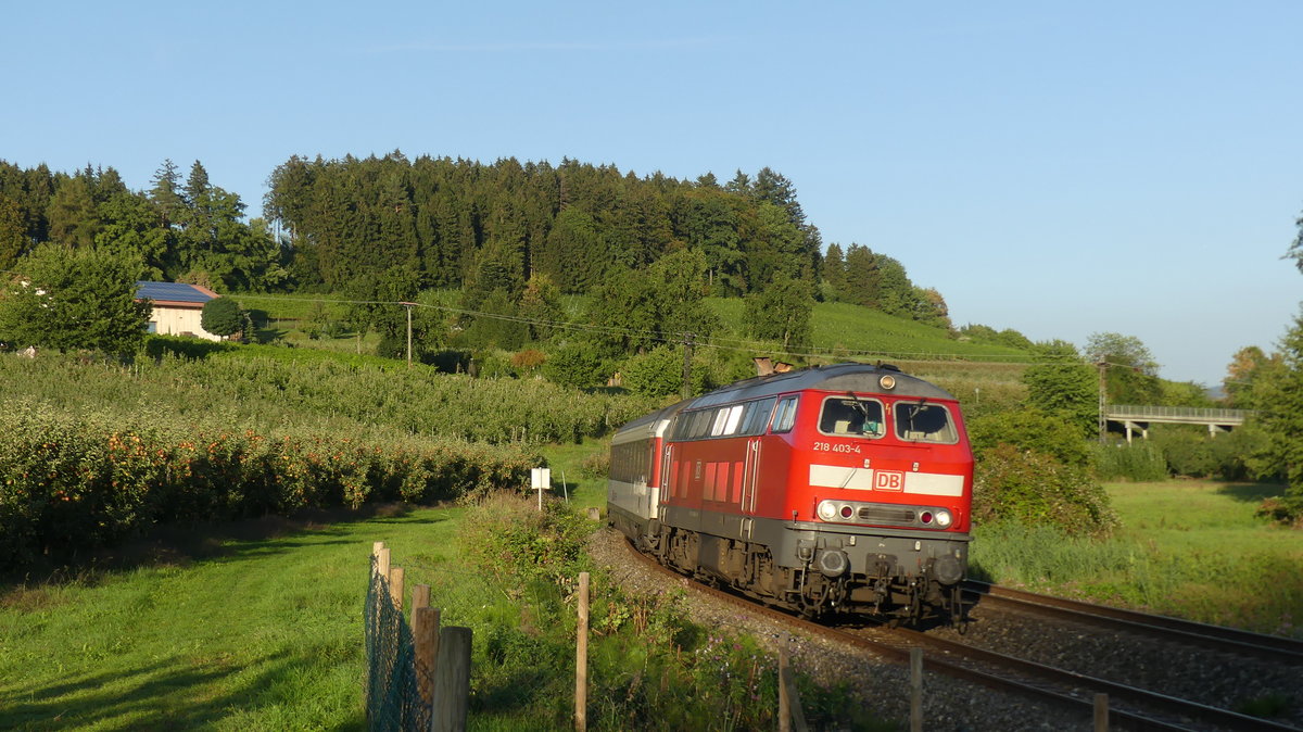 218 403 zieht einen EC nach Zürich um die Bodolzer Kurve. Aufgenommen am 9.8.2018 18:46