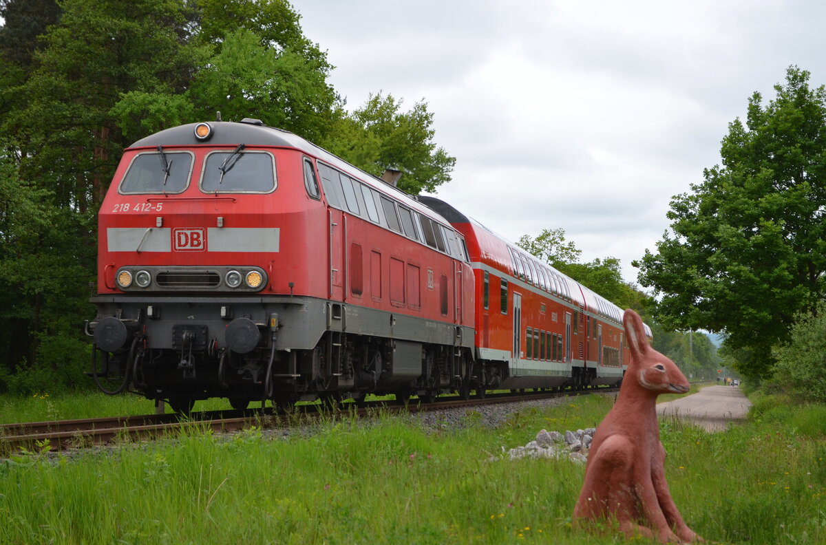 218 412 zieht am 19. Mai 2013 ihre RB von Wissembourg nach Neustadt (Weinstraße)Hbf in den Haltepunkt Schweighofen. Zuvor ist die Garnitur als  Weinstraßen-Express  von Koblenz Hbf nach Wissembourg über die Rheintal-, Nahetal-, Alsenz-, Pfälzische Ludwigs- und Maximiliansbahn verkehrt. Bis sie abends wieder nach Koblenz zurückkehrt, pendelt sie zwischen Neustadt und Wissembourg als RB und ersetzte dabei die sonst dort verkehrenden Triebwagen der Baureihe 643. Heute verkehrt auf dem Weinstraßen-Express ein Triebwagen des Typs LINT der vlexx. 